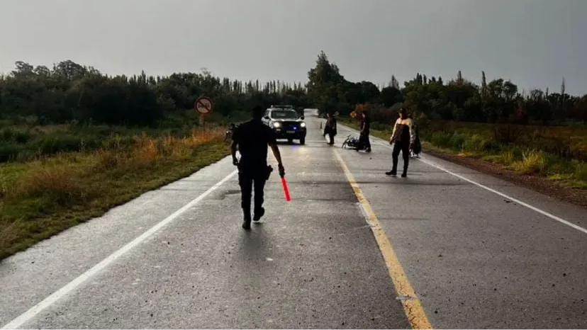 WhatsApp Image 2026-01-14 at 8.51