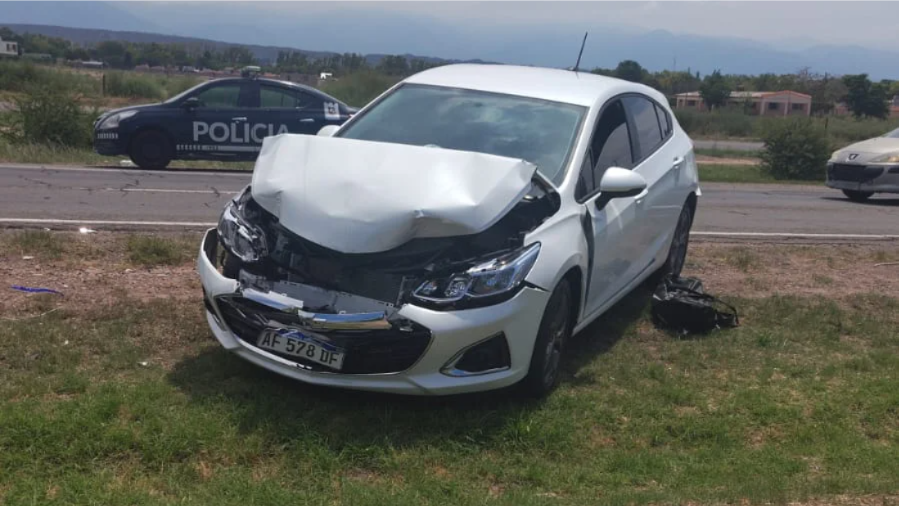 WhatsApp Image 2026-02-14 at 7.17.47 PM