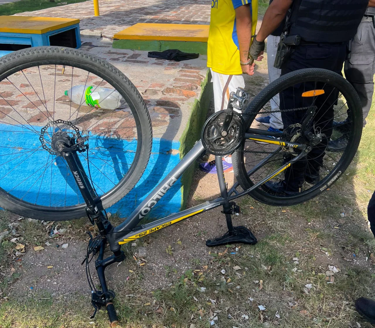 WhatsApp Image 2026-02-14 at 10.43.38 AM