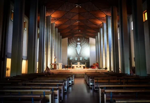 Captura-de-pantalla-2024-12-23-192506-480x330