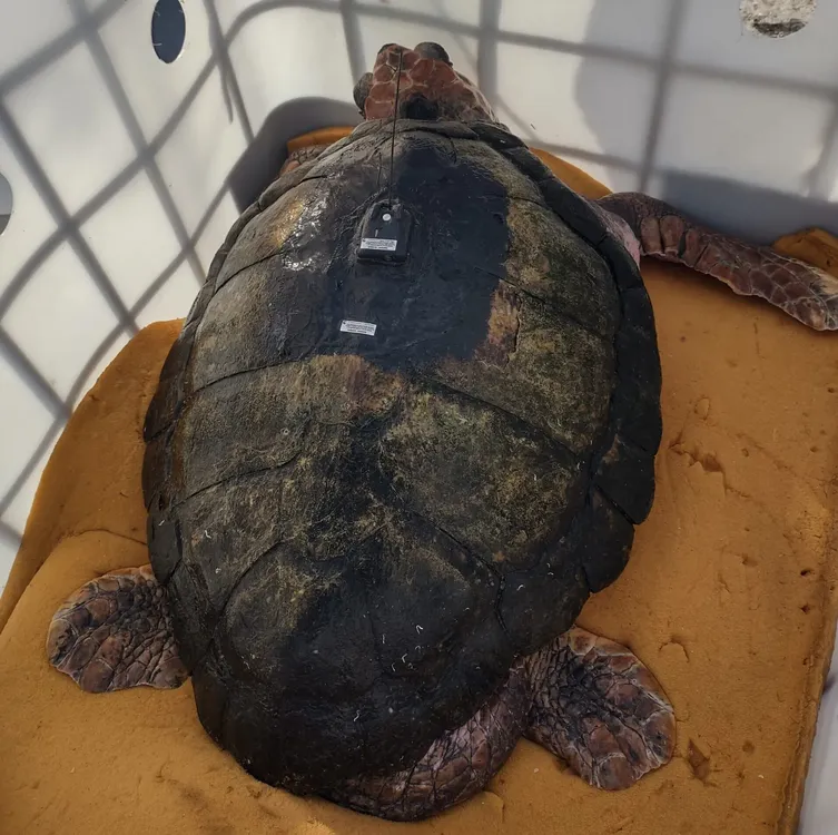 WhatsApp-Image-2025-04-11-at-1.17.31-PM-scaled-e1744404455385