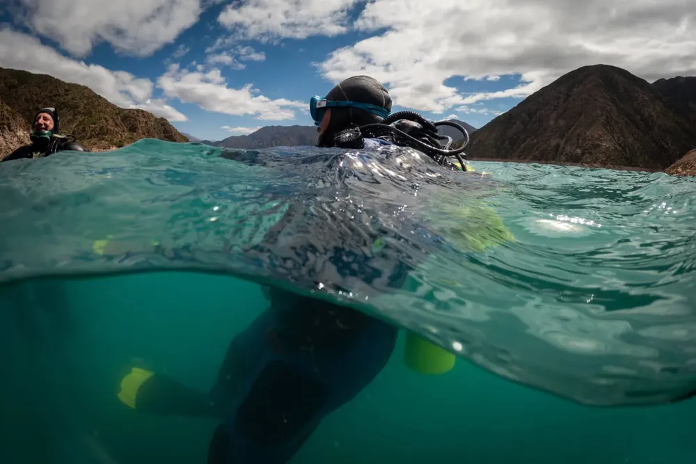 WhatsApp Image 2026-04-02 at 8.52.51 PM (1)