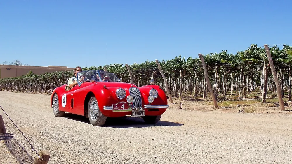 Rally-de-las-bodegas-2