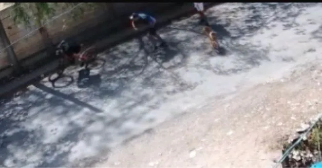 WhatsApp Image 2026-01-29 at 10.03.20 AM